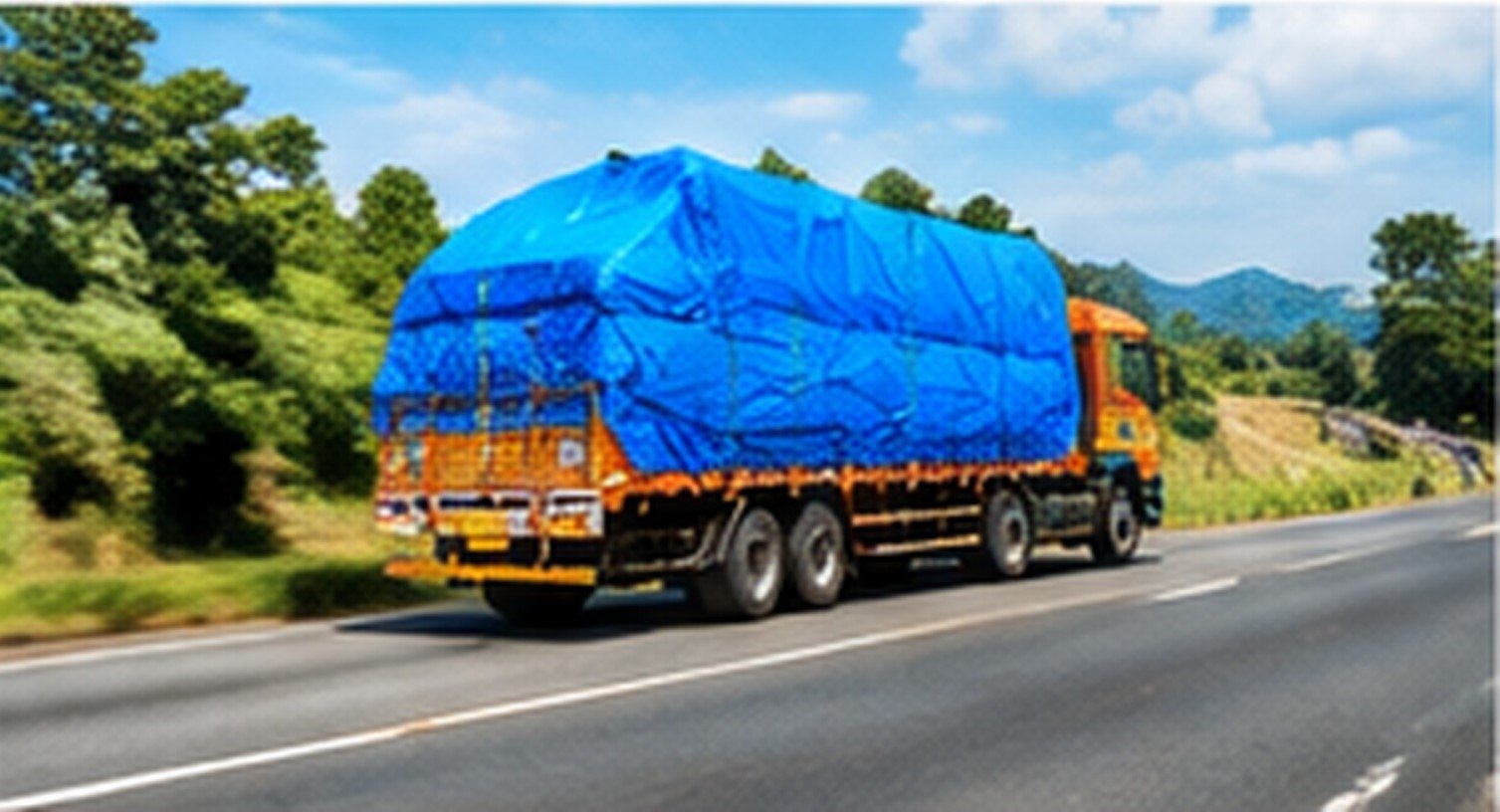 Professional Transportation Solution